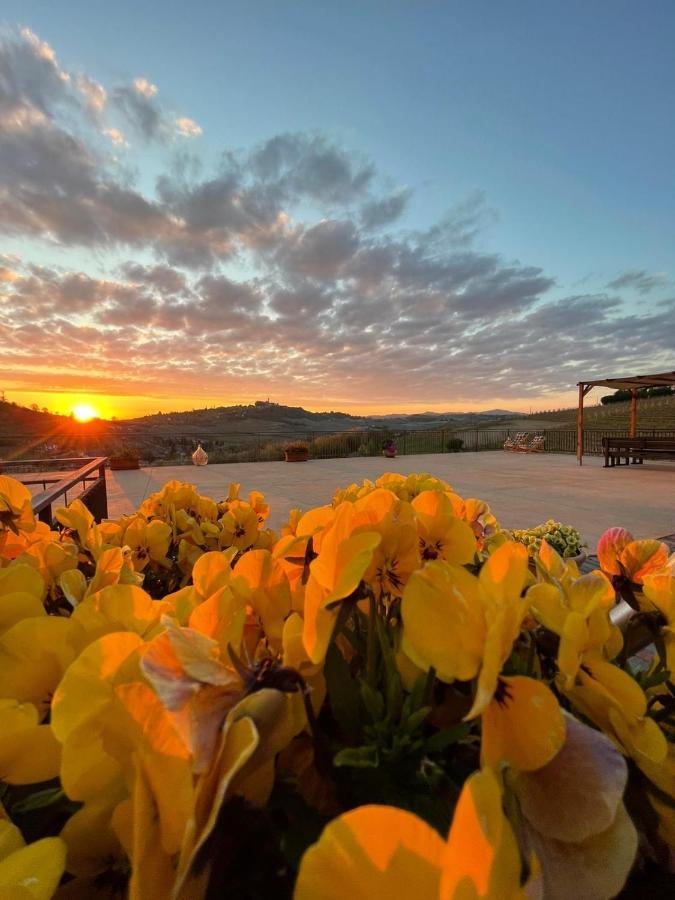 Agriturismo Ca Del Nono San Marzano Oliveto エクステリア 写真